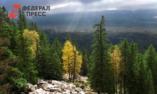 В Челябинской области ищут новые способы реализации проекта туркластера «Горный Урал»
