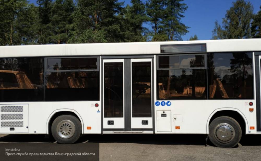 Автобусы с цитатами Путина будут курсировать по Улан-Удэ