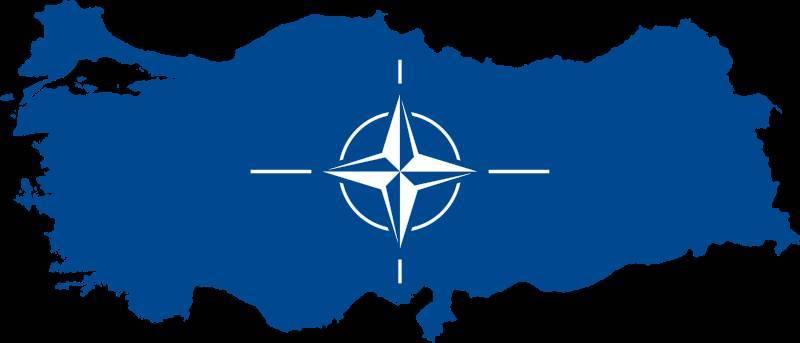В США предложили исключить из НАТО Турцию