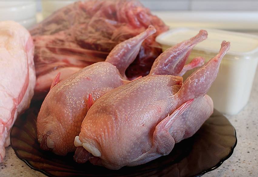 В Башкирии нашли опасную инфекцию в тушках цыплят-бройлеров