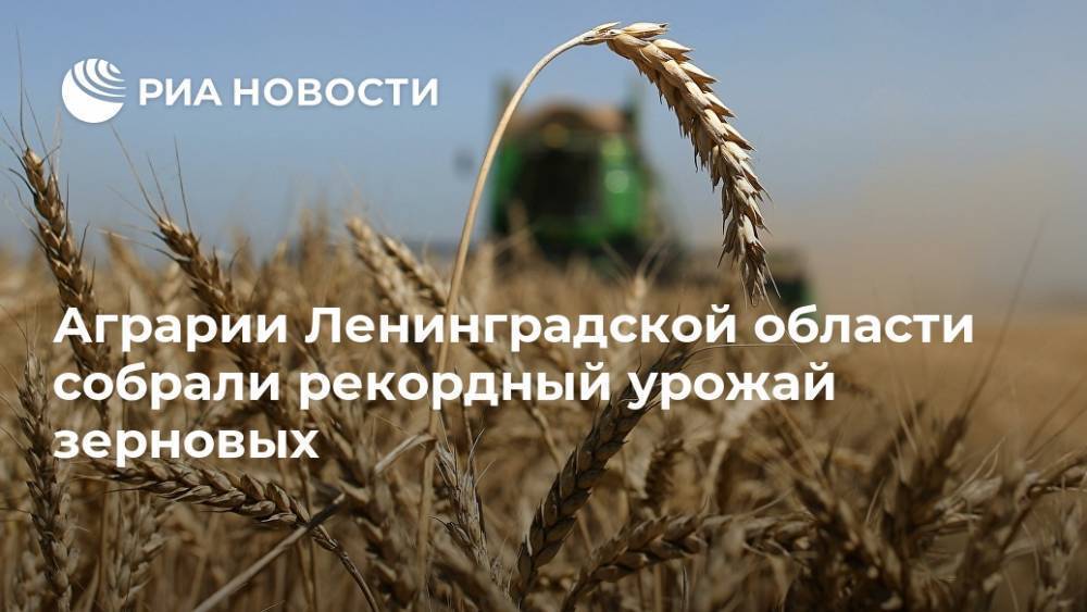 Аграрии Ленинградской области собрали рекордный урожай зерновых