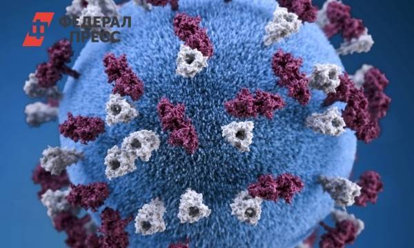 Ученые объяснили, что происходит с организмом после коронавируса