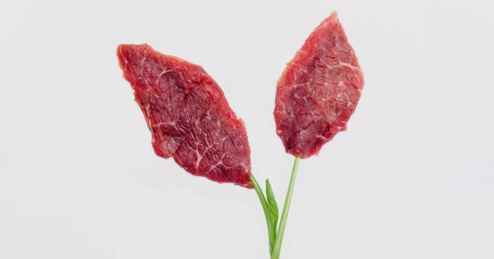 Мясо из пробирки, богатое витаминами: пища будущего