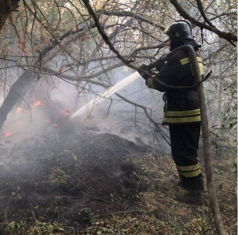 Природные пожары в Ростовской области: данные на утро 2 октября
