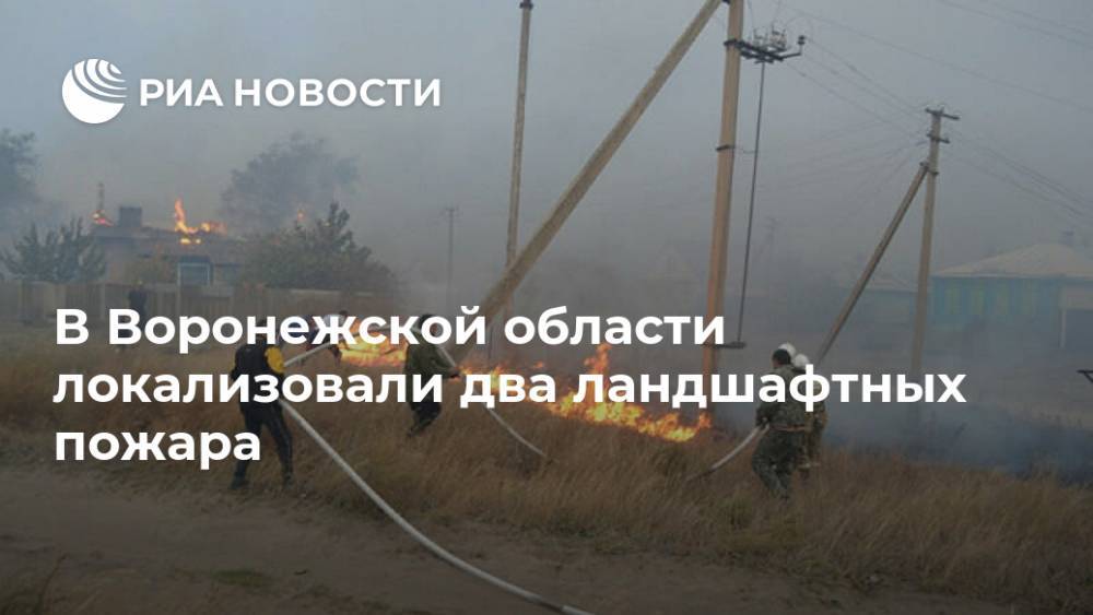 В Воронежской области локализовали два ландшафтных пожара