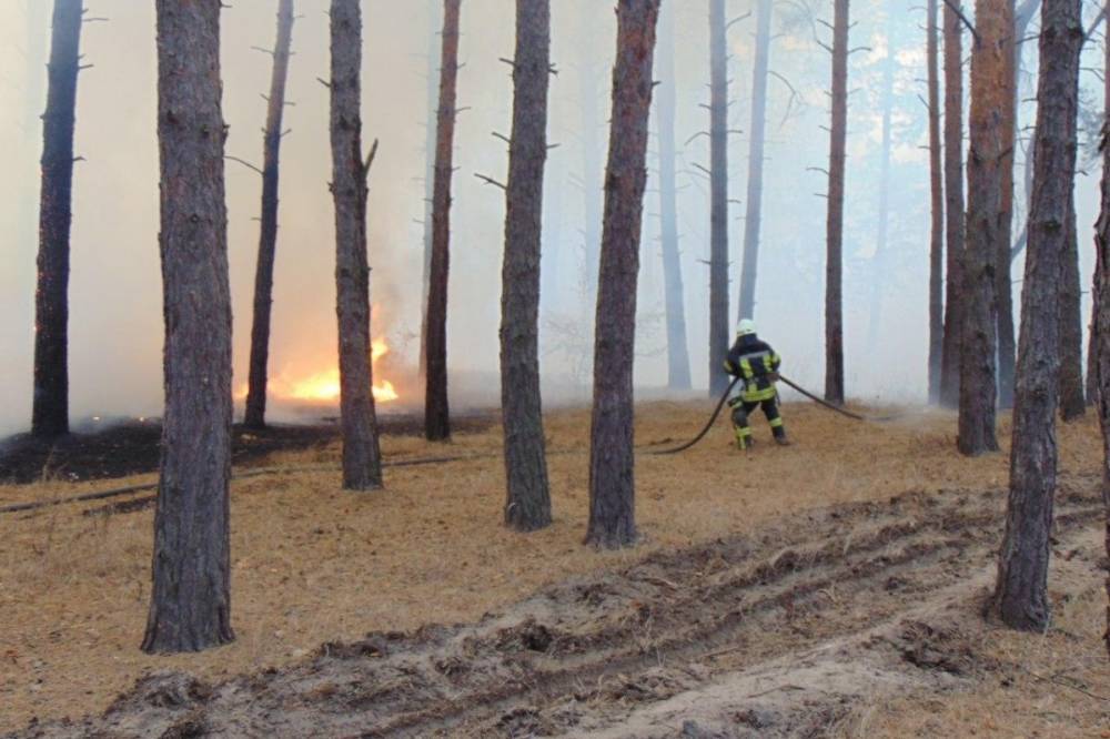 МВД уточнило количество жертв пожара в Луганской области
