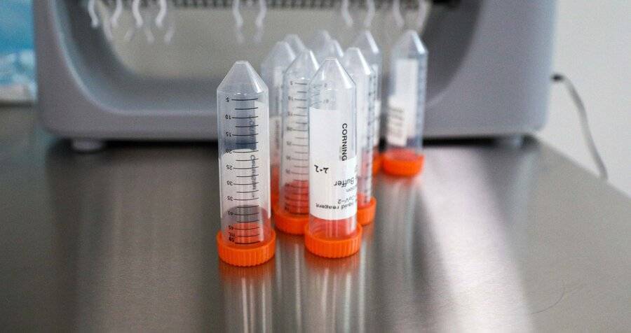 В России выявили 9 412 новых случаев коронавируса