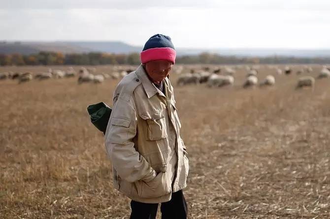 Шестерых сбежавших заключенных из Дагестана помог поймать калмыцкий пастух