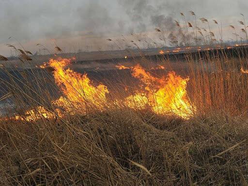 На границе Воронежской и Белгородской областей развернулись природные пожары