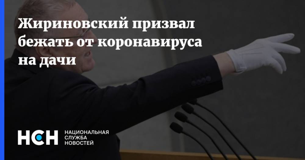 Жириновский призвал бежать от коронавируса на дачи