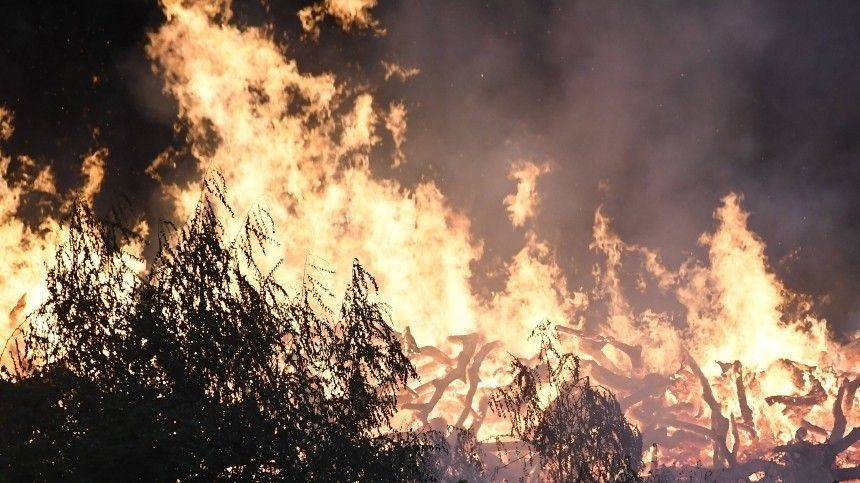 Каковы новые версии возникновения пожаров в Воронежской области