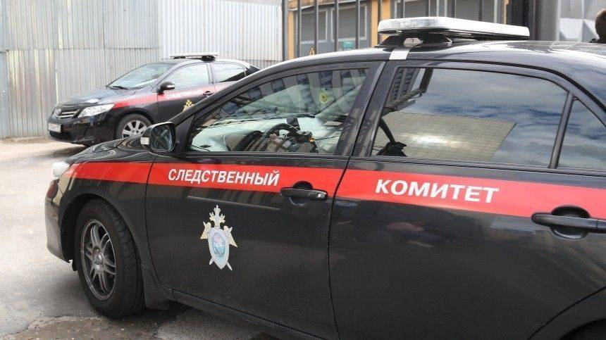 СК назначил посмертную психиатрическую экспертизу сгоревшей в Нижнем Новгороде журналистке