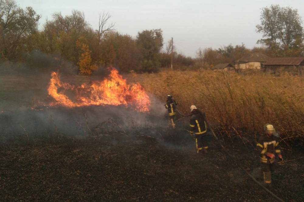 Пожар на Луганщине: Спасателям удалось локализовать один из очагов
