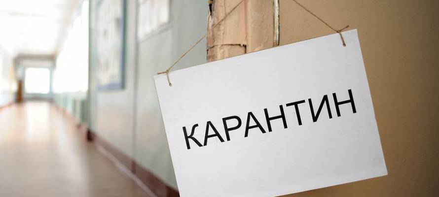 Целая школа и девять классов в Карелии закрыты на карантин из-за коронавируса