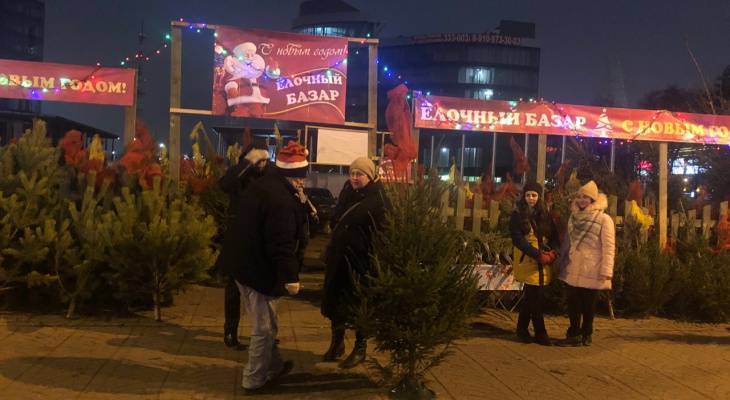 Сотни тысяч на елки: за сколько украсят Ярославль к новому году