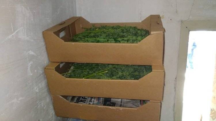 Дома у крымчанина нашли почти четыре килограмма марихуаны