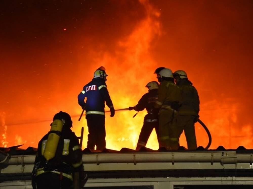 Под Одессой ночью горел завод: на ликвидацию огня пожарные потратили около 6 часов
