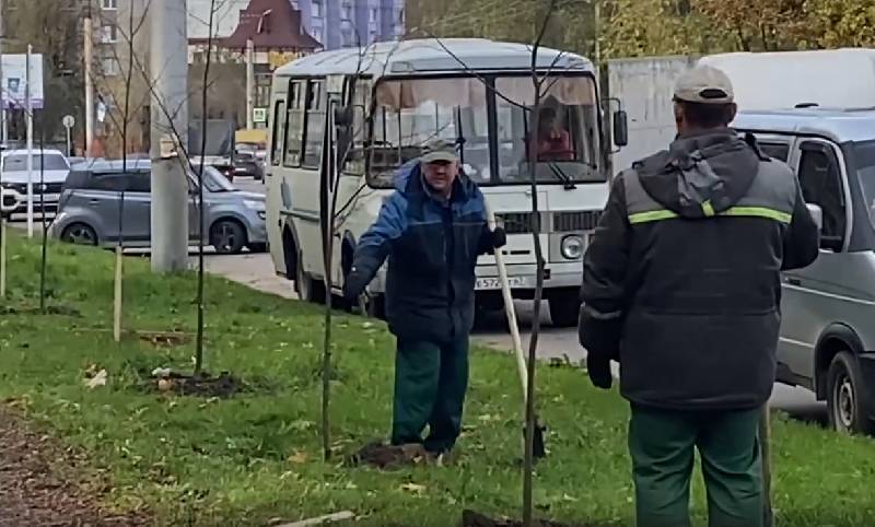 Сотни кустов и деревьев. В Смоленске стартовала осенняя озеленительная кампания