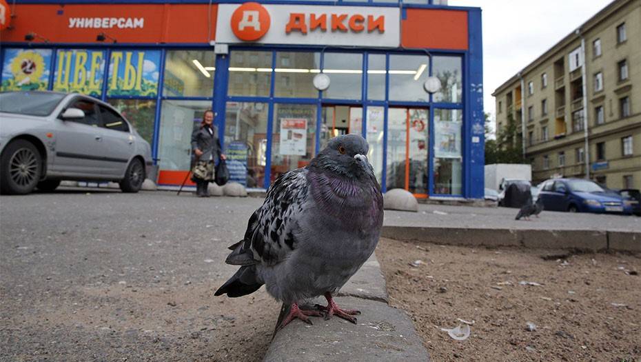 Магазины без QR-кодов, продление каникул и массовый ремонт метро: Петербург 20 октября