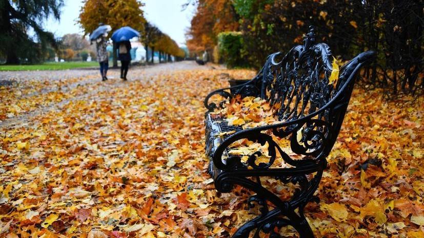 В Москве 21 октября ожидается до +5 °С