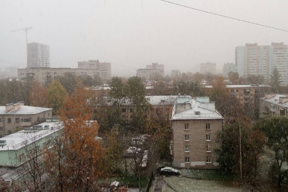 В середине ноября в Петербурге ожидается стабильный снежный покров