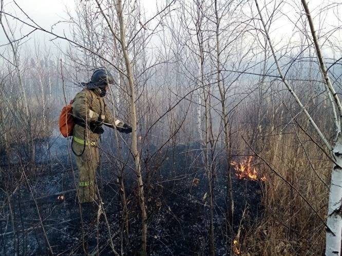 Власти отчитались о локализации масштабного пожара на юге Челябинской области