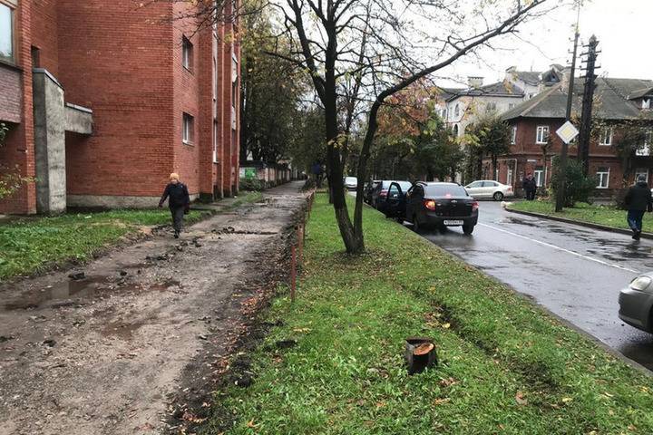 На улице Школьной в Пскове спилили аварийные деревья