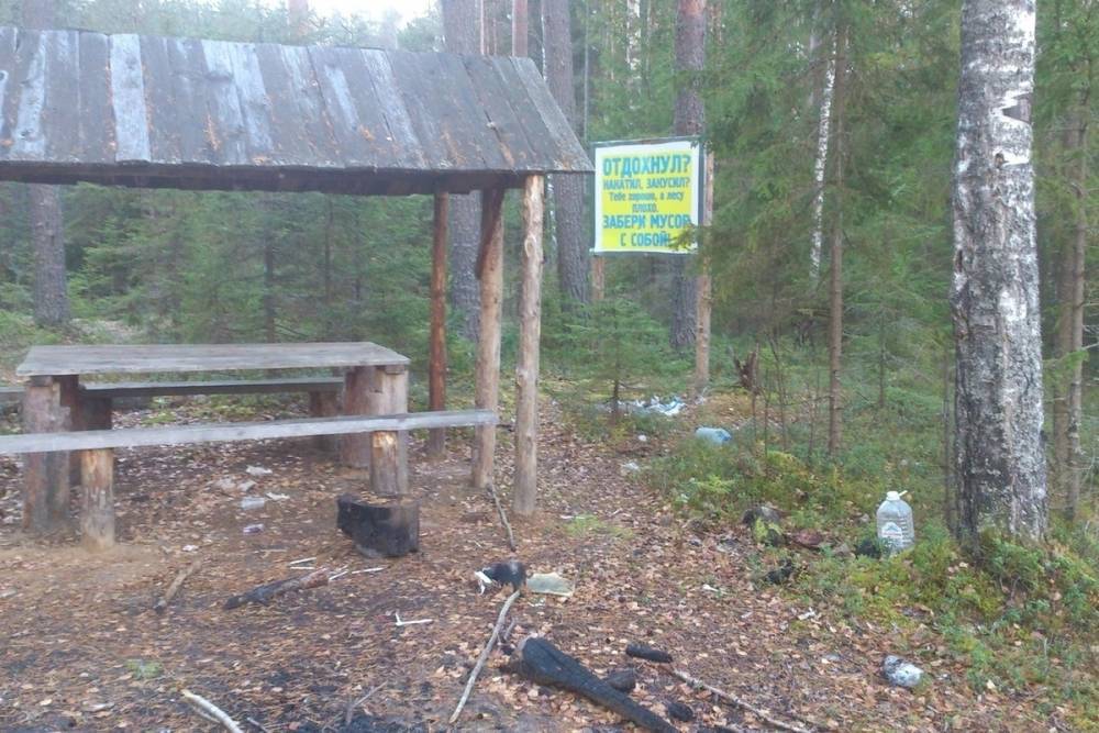 В Тверской области возле плаката «не мусорить» обнаружена свалка