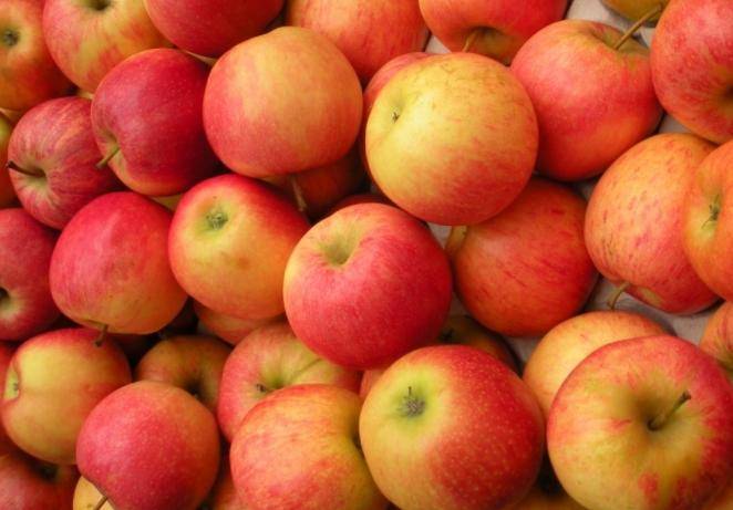 Ученым удалось доказать, что яблоки помогают продлить жизнь
