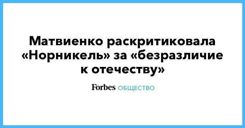 Матвиенко раскритиковала «Норникель» за «безразличие к отечеству»