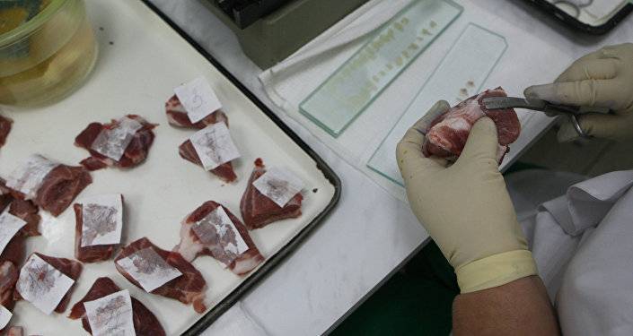 В Грузии пресечена попытка ввоза более 400 килограммов просроченного мяса из Турции