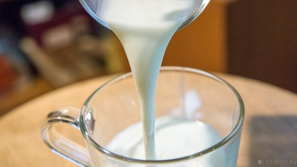 Российские ученые нашли дешевый способ выявления яда в молоке и орехах