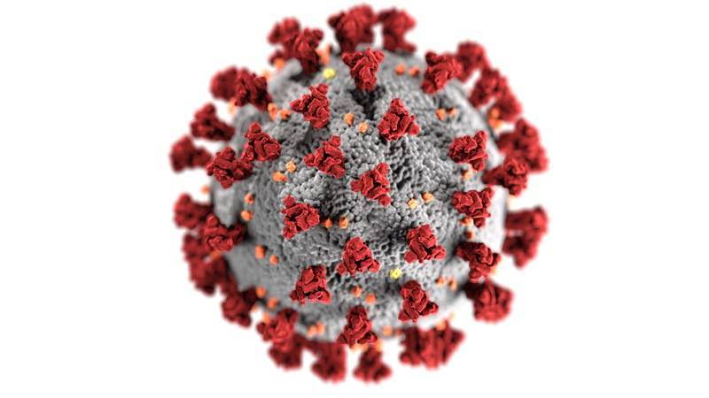 Появился алгоритм, который точно предсказывает риск заражения и смертности от коронавируса - Cursorinfo: главные новости Израиля