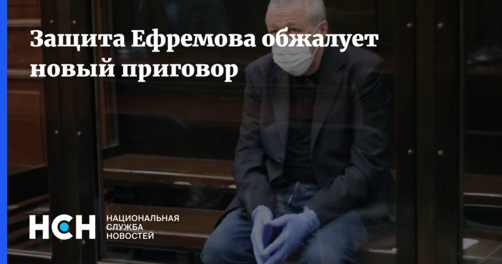 Защита Ефремова обжалует новый приговор
