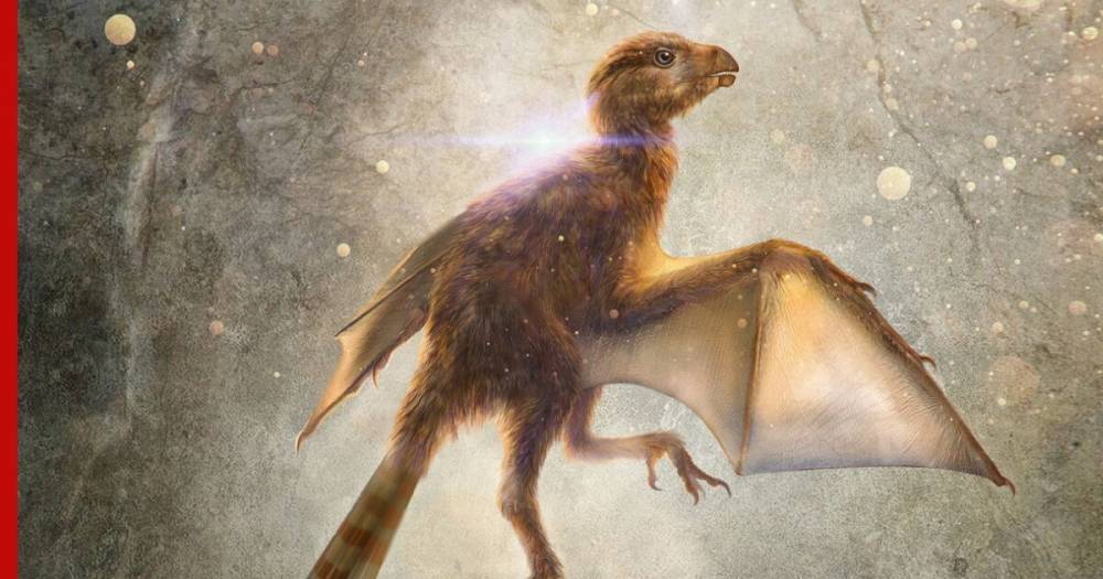 Ученые выяснили, как выживали необычные динозавры из Китая