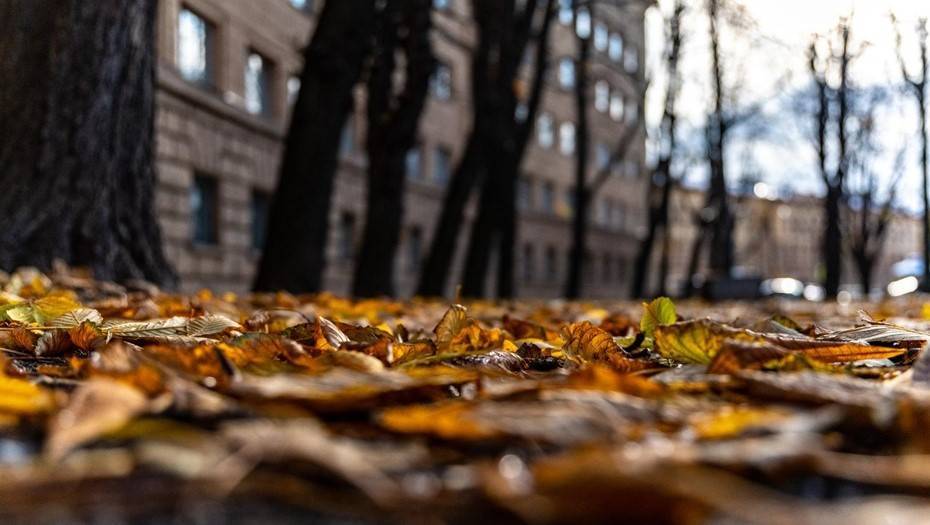 В Петербурге в пятницу ждут дожди и аномальное тепло