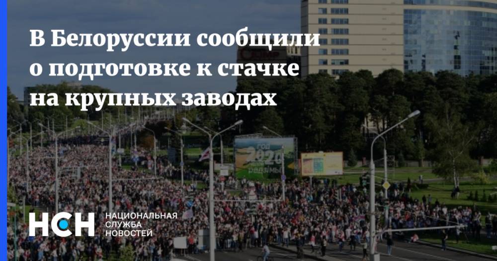 В Белоруссии сообщили о подготовке к стачке на крупных заводах