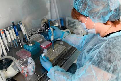 Центр «Вектор» выявил более 80 мутаций коронавируса
