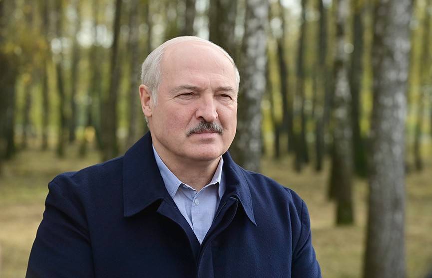 Лукашенко: Задача мэра Минска и губернаторов – распределить овощи, картофель, чтобы цены не прыгали зимой