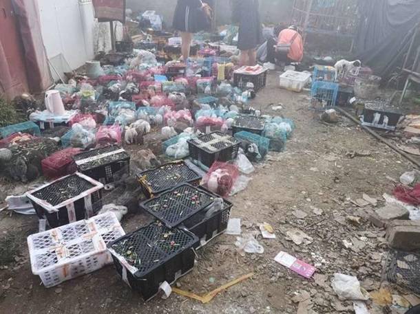 На складе в Китае оставили умирать тысячи животных в коробках - Cursorinfo: главные новости Израиля