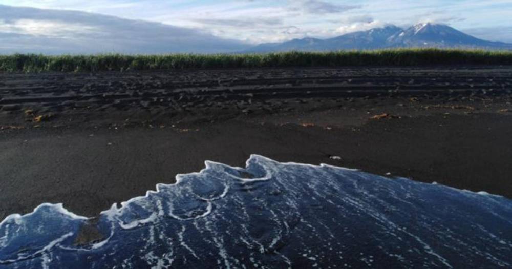 МО РФ: Тихоокеанский флот не причастен к загрязнению пляжей Камчатки