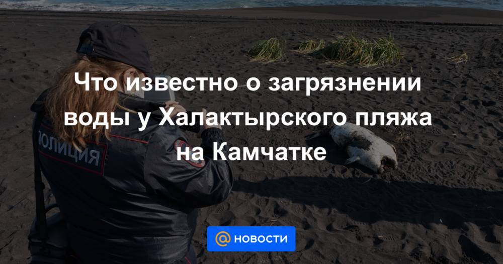 Что известно о загрязнении воды у Халактырского пляжа на Камчатке
