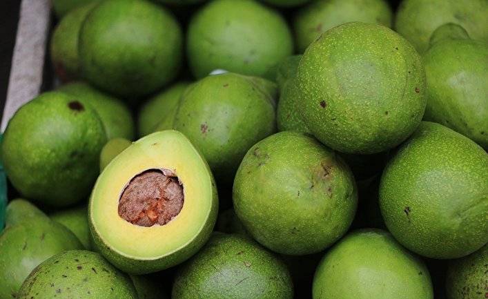 Проверенные «рентгеном» авокадо: почему людям стоит перестать сдавливать их (The Guardian, Великобритания)