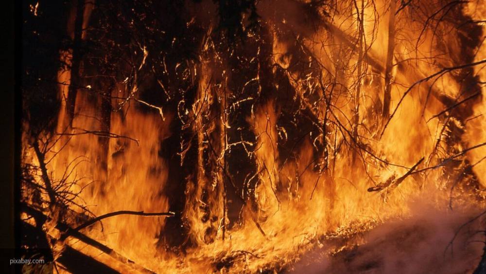Пожарные ликвидировали четыре крупных возгорания в Воронежской области