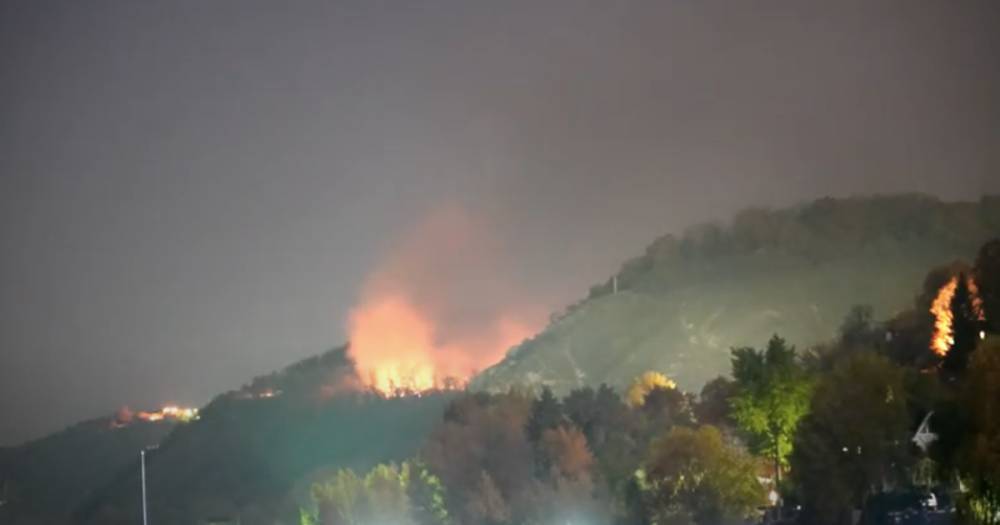 В Самаре загорелся лес в районе горы Барсук