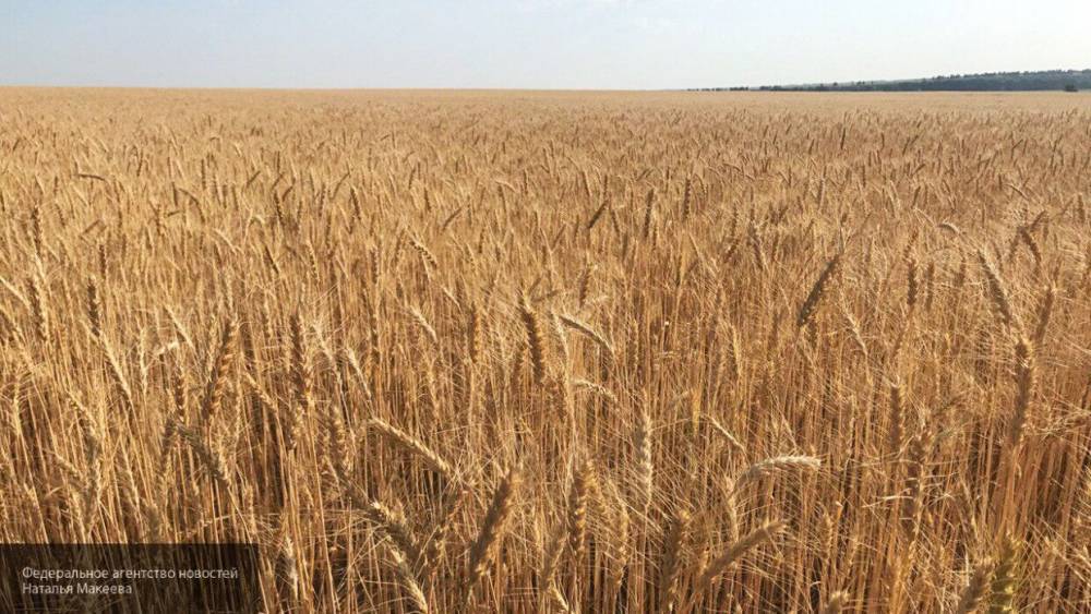 Член совета Нацбанка Украины: ЕС превращает страну в аграрную державу