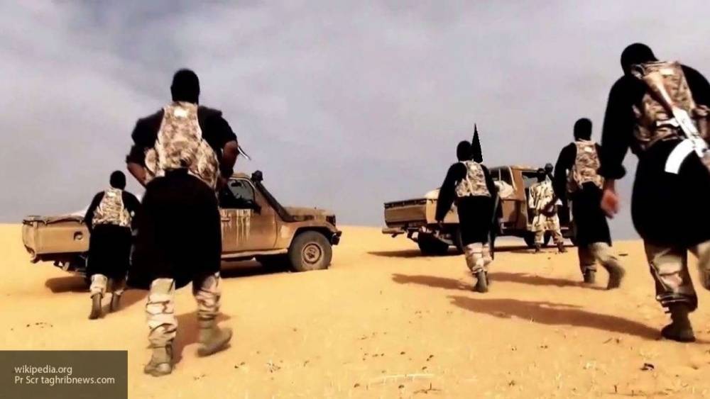 Гражданство Ливии в Триполи получат сирийские боевики Аль-Каиды и ИГ