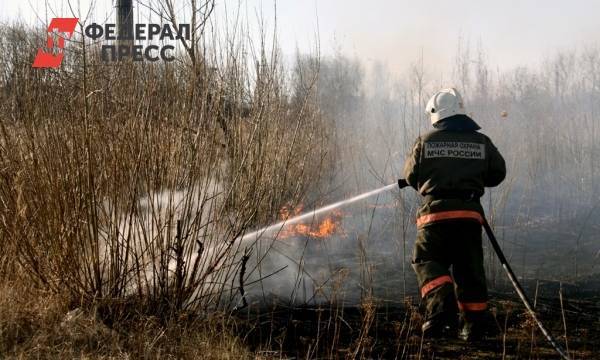 На Дону отчитались о борьбе с ландшафтными пожарами
