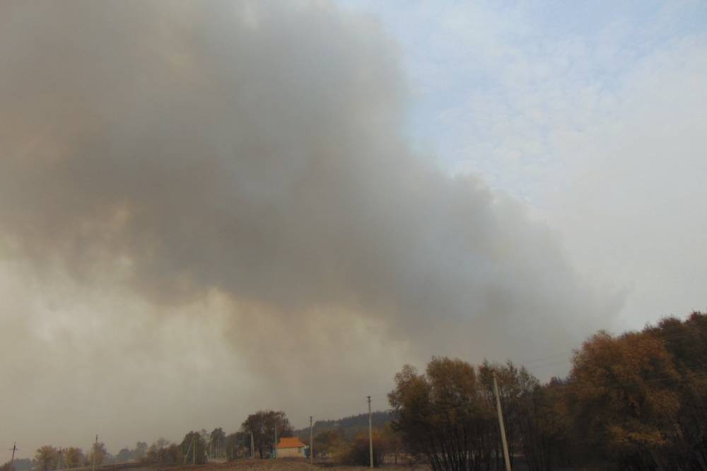 На Луганщине очередной поджог: Детонируют снаряды, огонь подступает к электроподстанциям