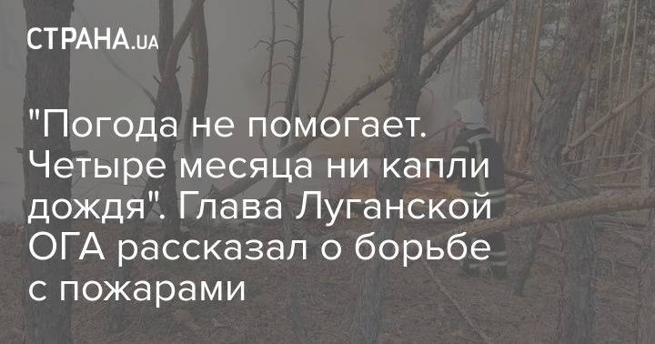 "Погода не помогает. Четыре месяца ни капли дождя". Глава Луганской ОГА рассказал о борьбе с пожарами